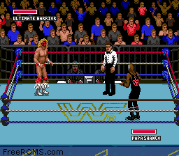 WWF Super WrestleMania